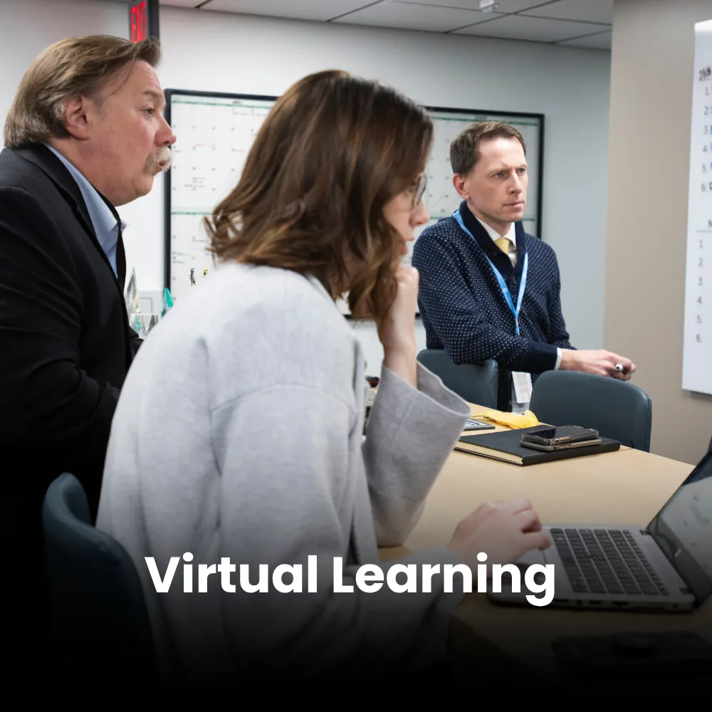 Virtual Learning