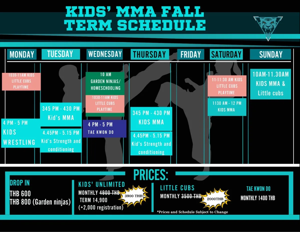 tiger eye kids mma term schedule