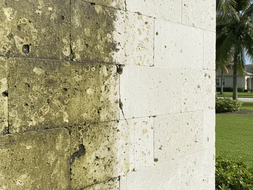 Limestone Restoration Naples, FL