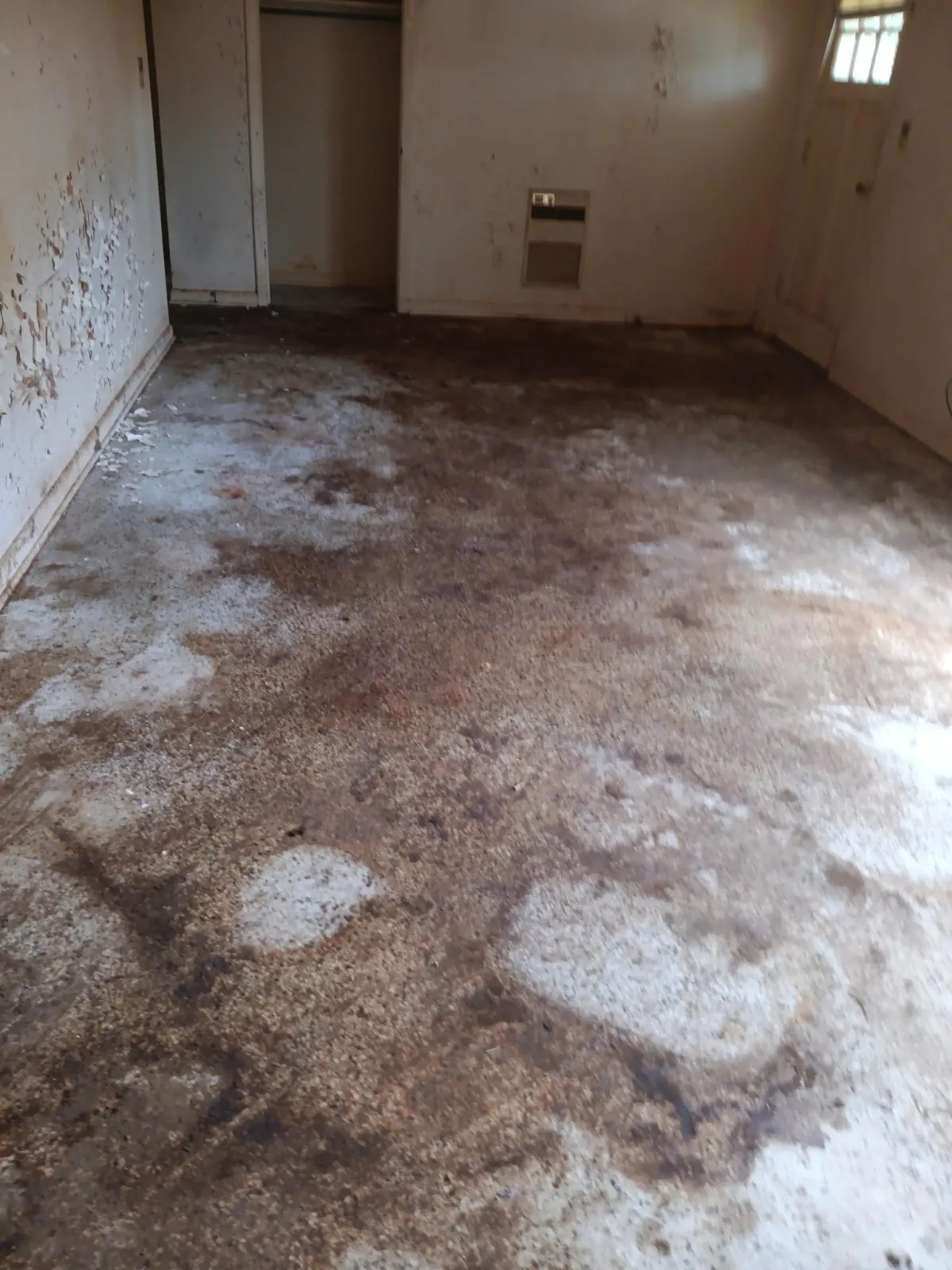 Home Clean Out Estate After