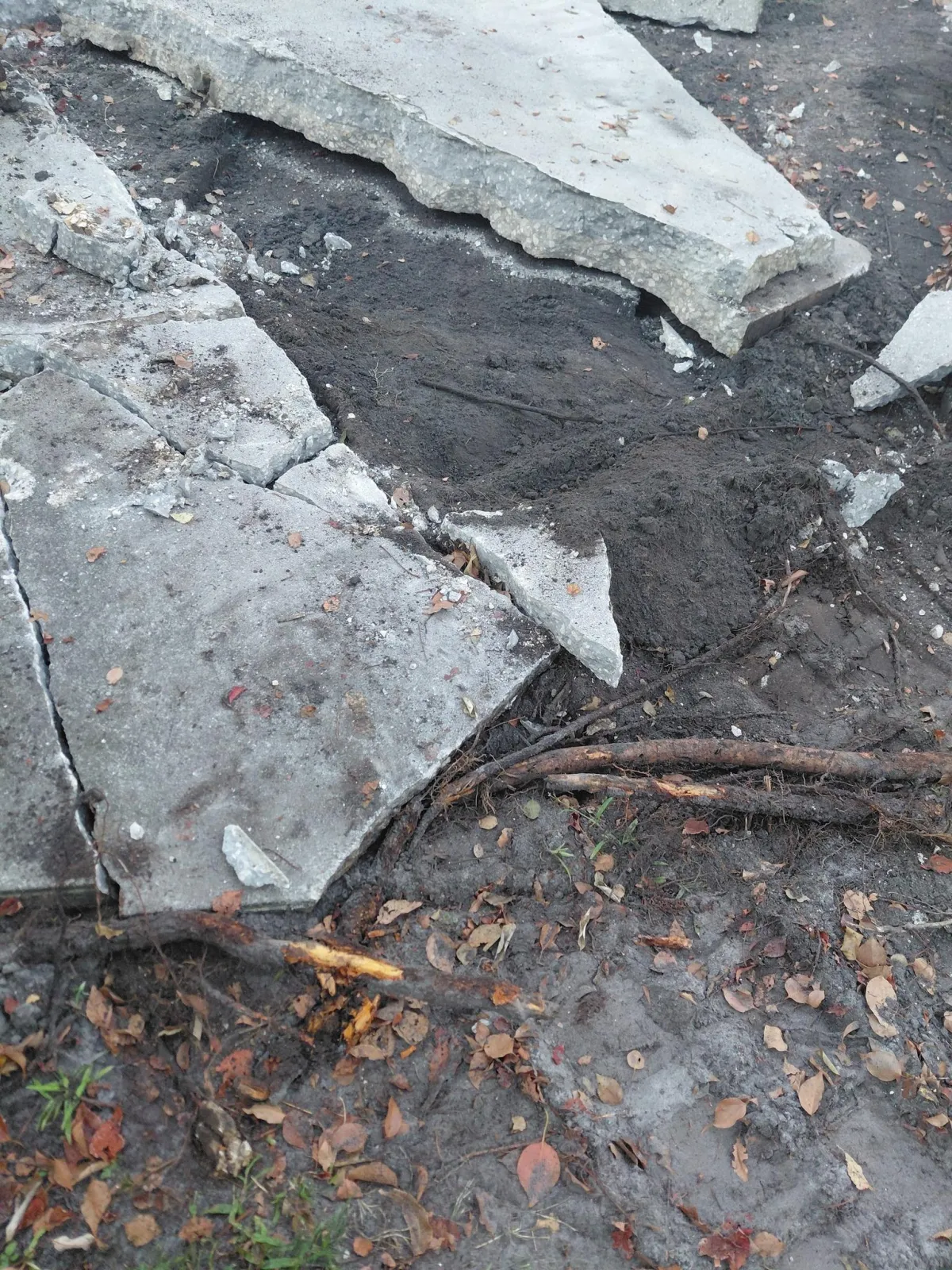 Demolition and Concrete Removal Services