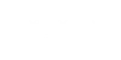 business systems strategist NZ