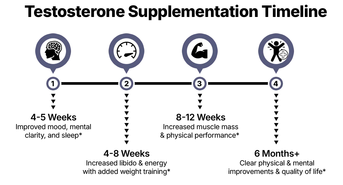 testosterone timeine