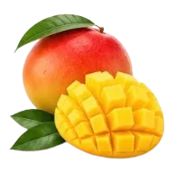Mango and mango slices