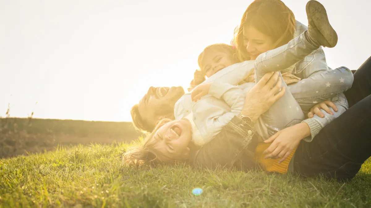 the reflection of a tree in the water
