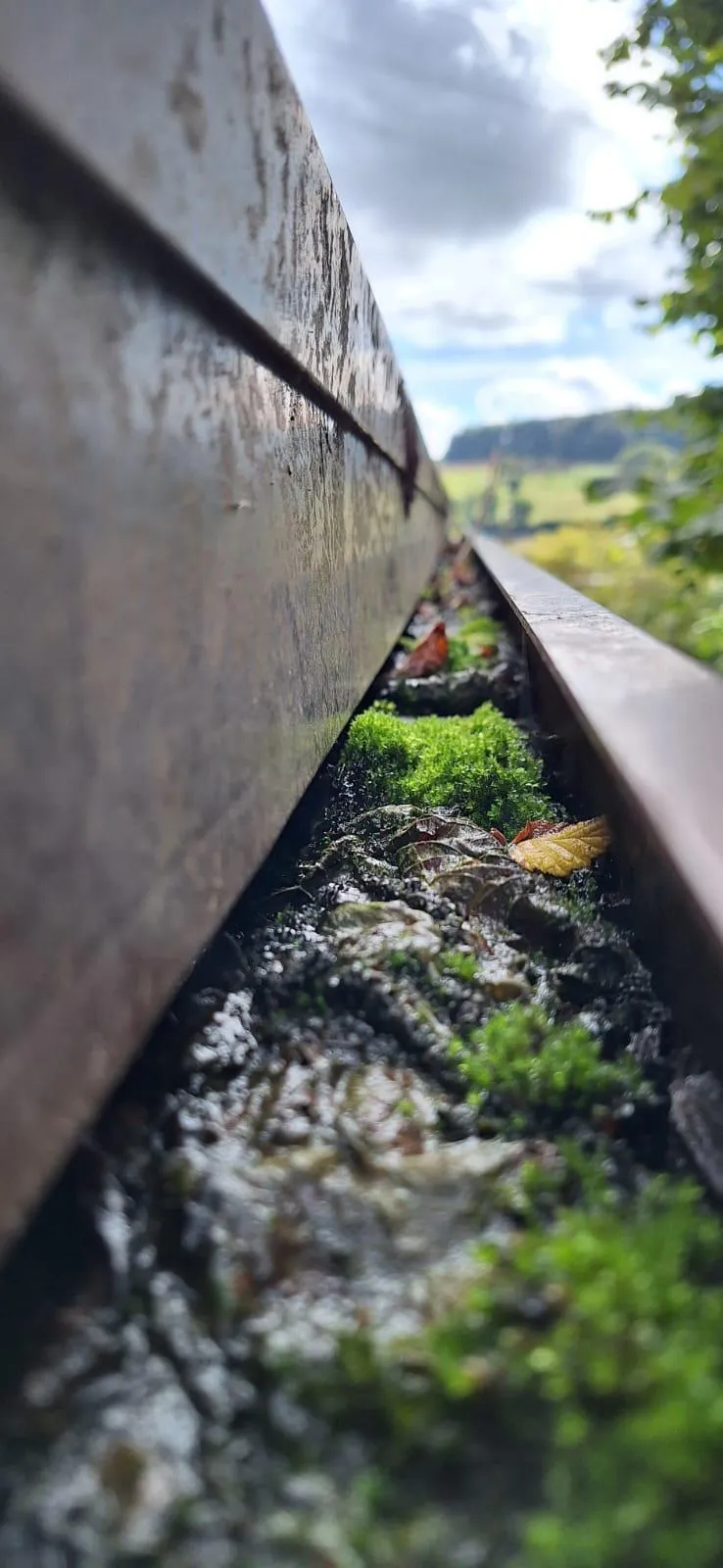 Technicien Ecosolutions en intervention sur toiture 