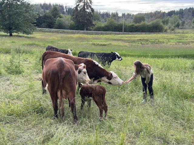 Herd with a Farm Hand