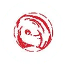 BullSEye  Repair Limitation