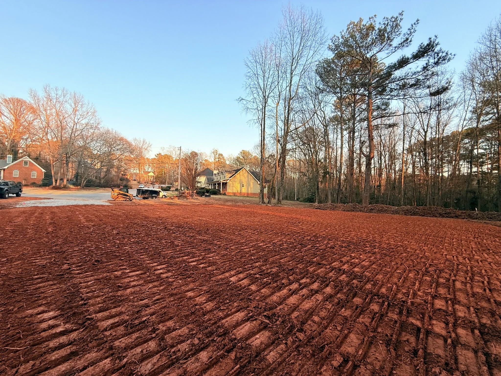 Lush garden path with blooming flowers and trees