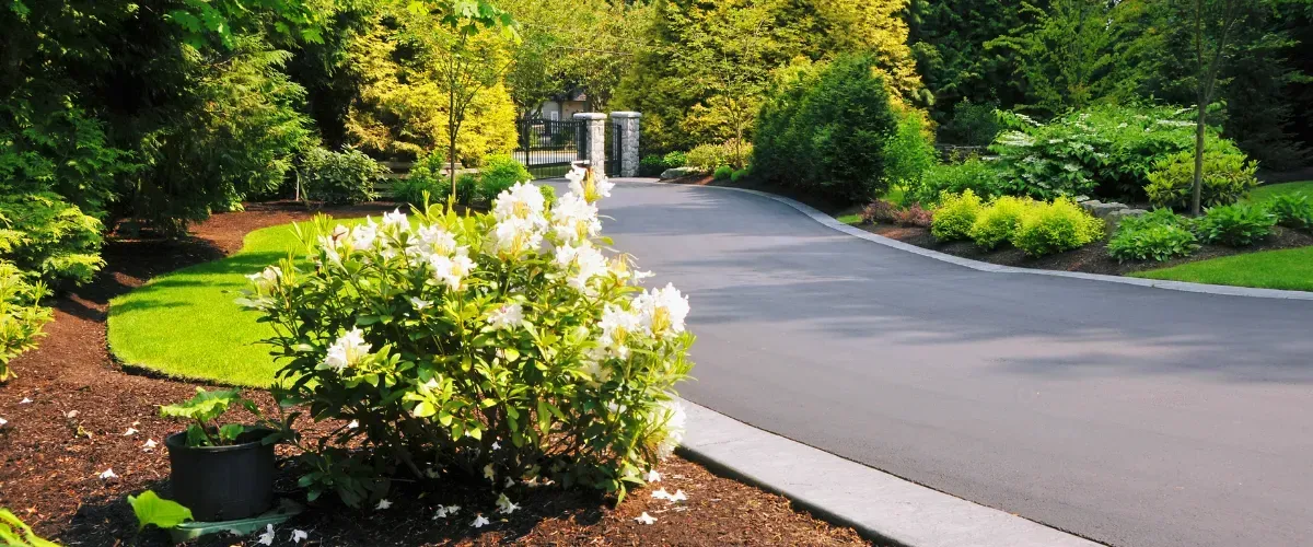 Clean paved driveway surrounded by well-maintained decorative shrubs