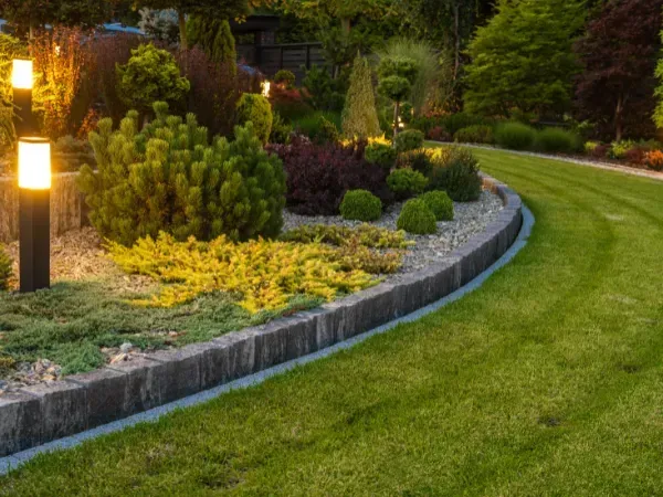 Well-lit modern garden with manicured greenery and stone edging.