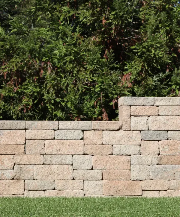 Stone block retaining wall in front of dense evergreen trees.