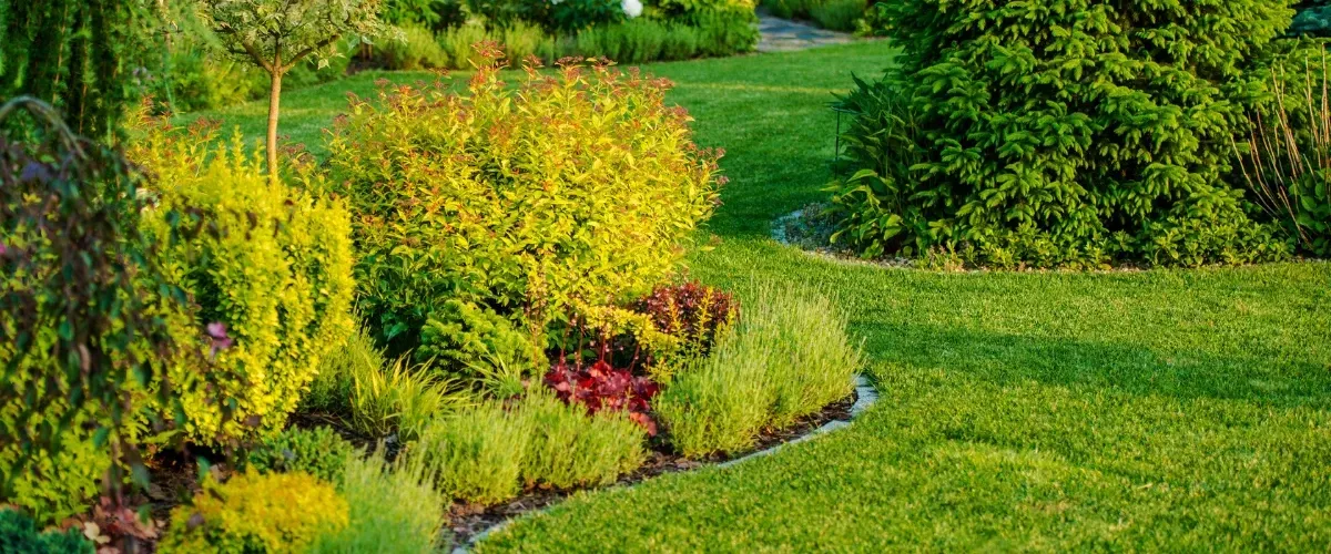 Beautifully designed residential garden with trimmed bushes and lush green lawn