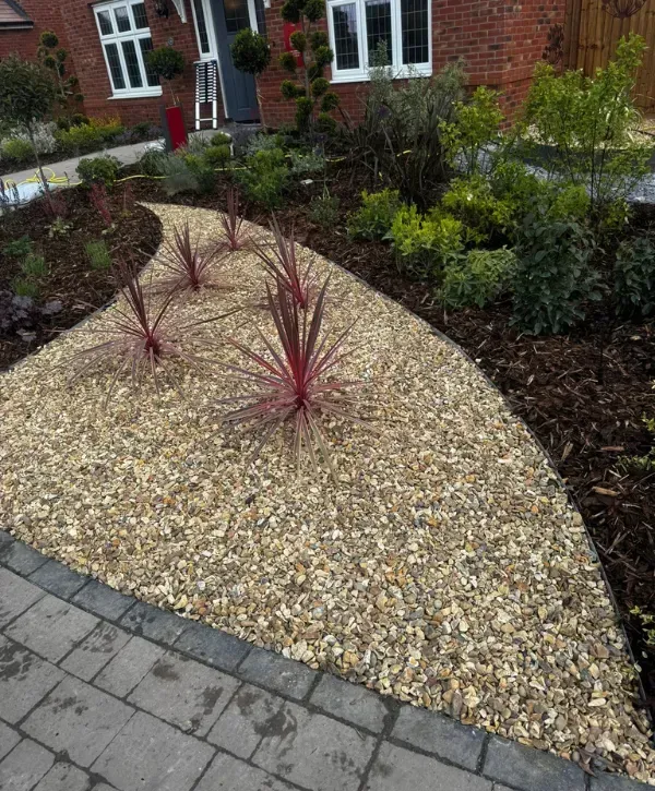 Modern front yard landscaping with gravel path, red plants, and fresh greenery in College Station.