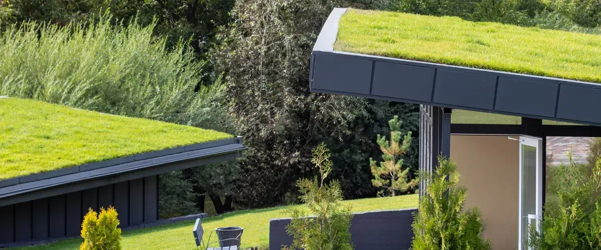 Close-up view of an eco-friendly green roof garden with organized rows of plants.