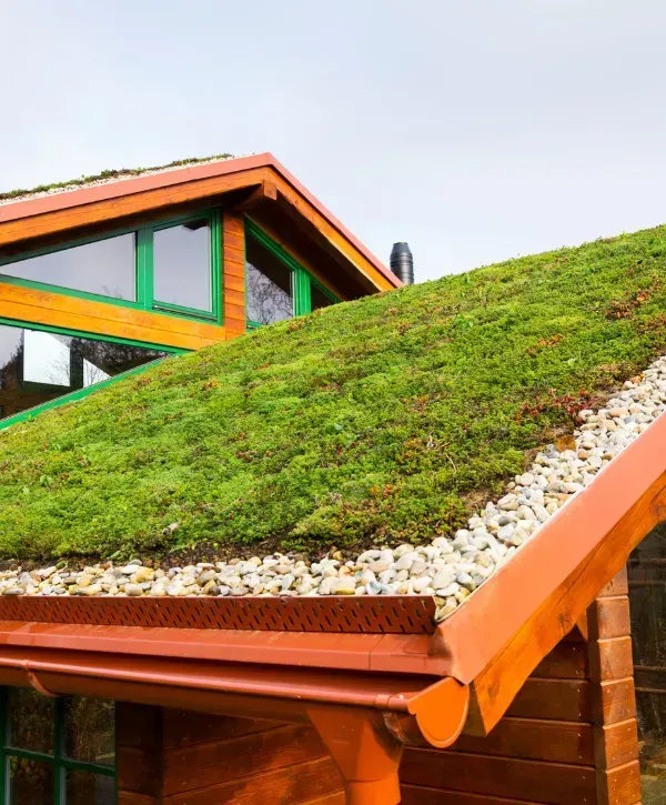 Sloped green roof with vegetation and stone edging on a wooden house 