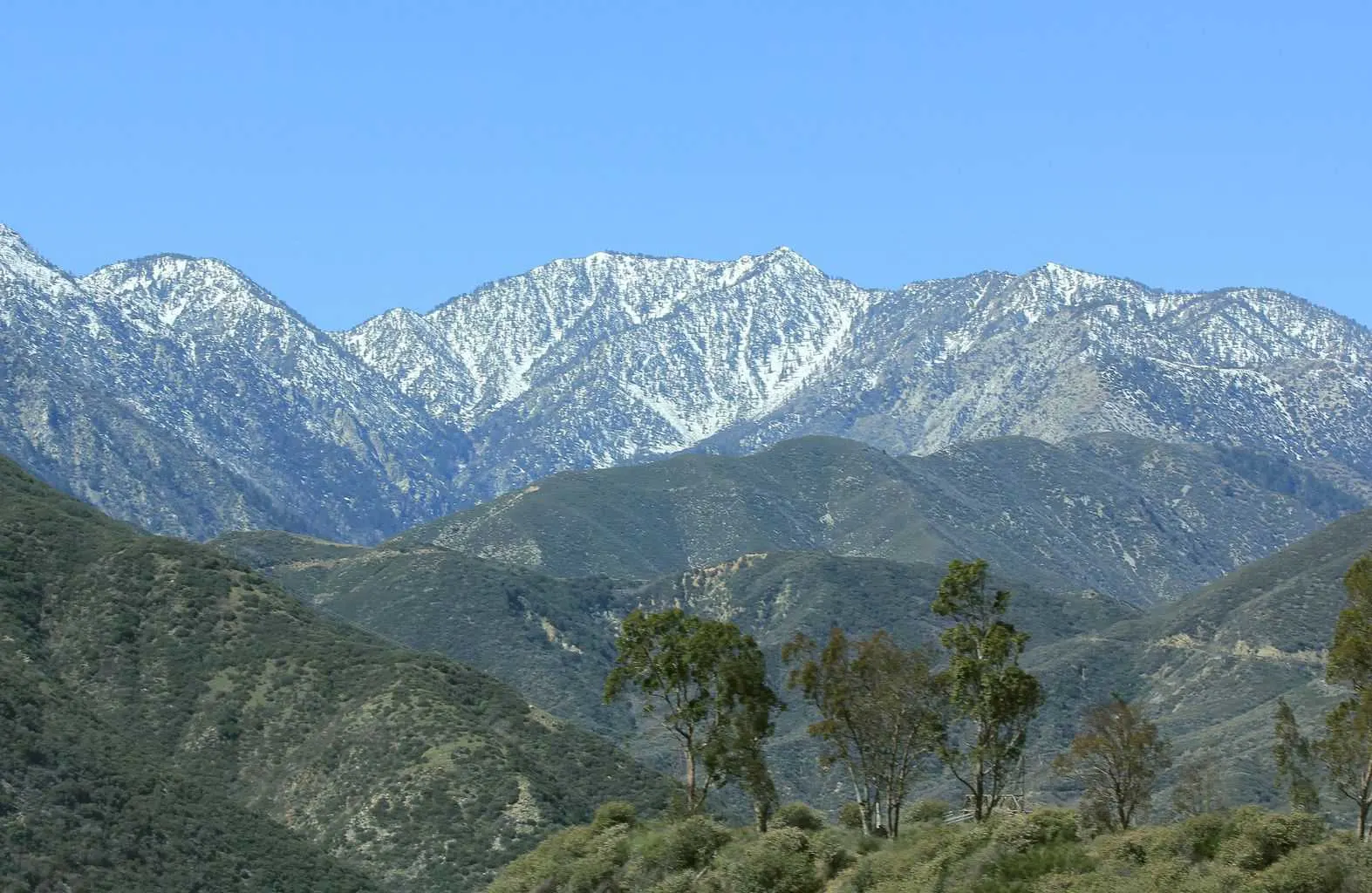 Driving in and Around Azusa, CA: What Visitors Should Know Before They Go (Platinum Fleet & Rentals, Azusa, CA)