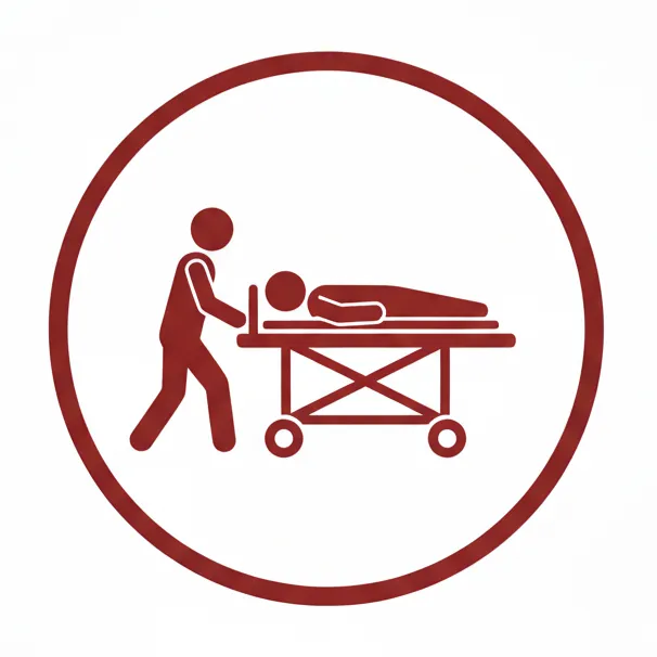 NEMT with stretcher accessibility