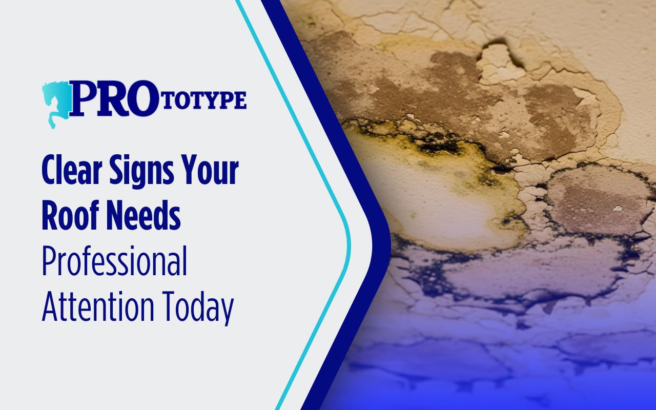 Clear Signs Your Roof Needs Professional Attention Today