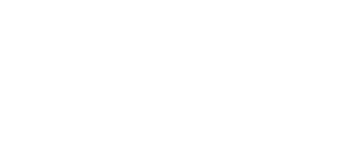Logo Footer