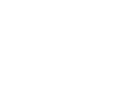 Bobs Flies