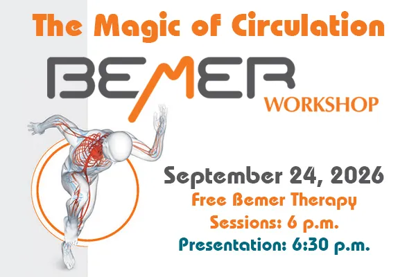 Bemer Workshop