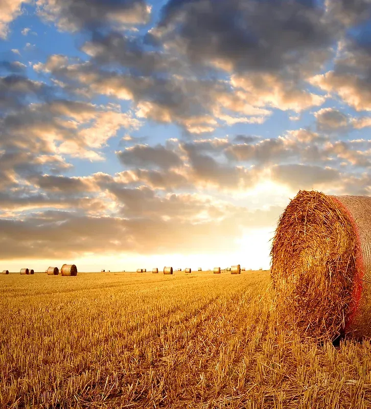 photo of farm field