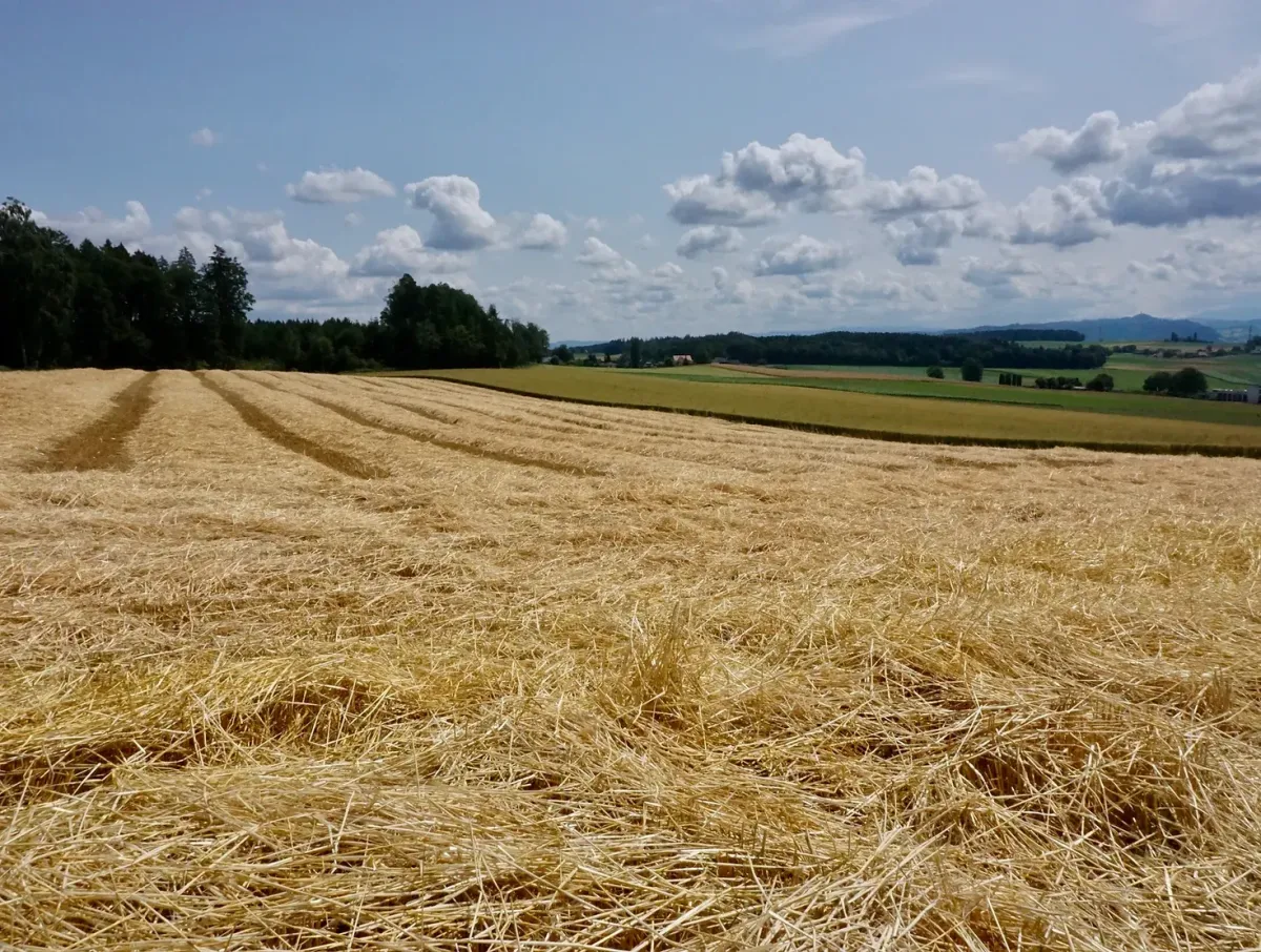 photo of dry farm field