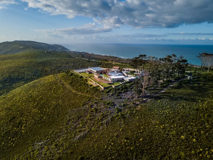 a room with a bar and stools