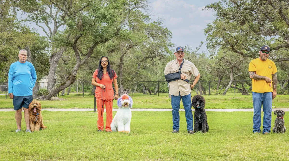 black and tan german shepherd running on green grass field during daytime