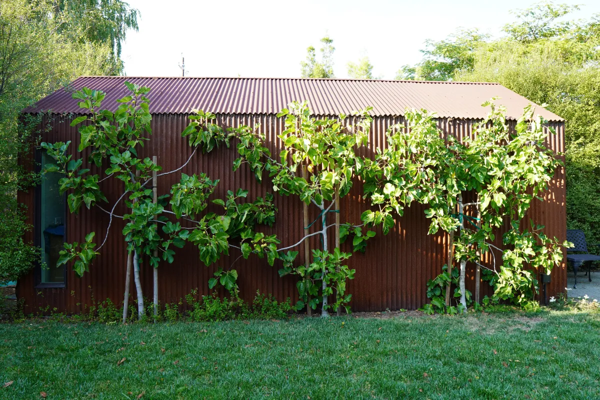 ADU unit with metal siding in Larkspur, CA.