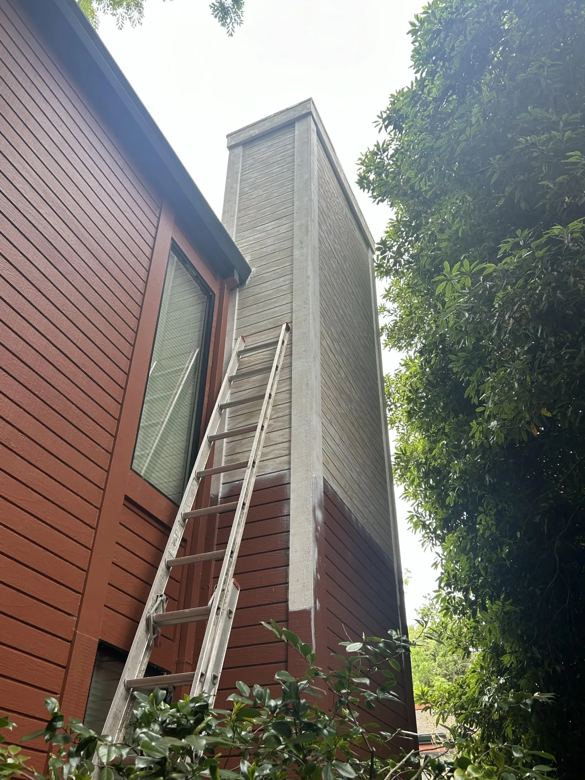 Dry rot repairs on an HOA building in Novato, California, featuring T1-11 siding, STK Western Red Cedar trim, and Sherwin-Williams exterior finishes.