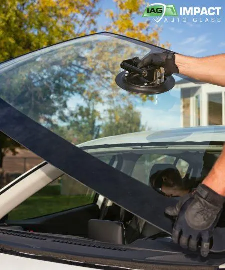 Windshield Replacement in Minneola - Impact Auto Glass