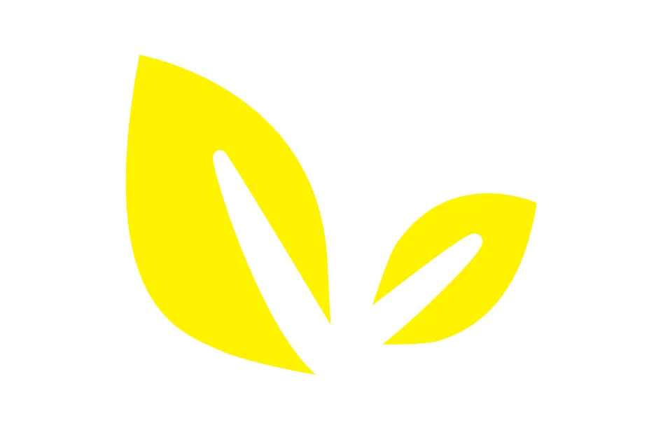 Money Management Logo