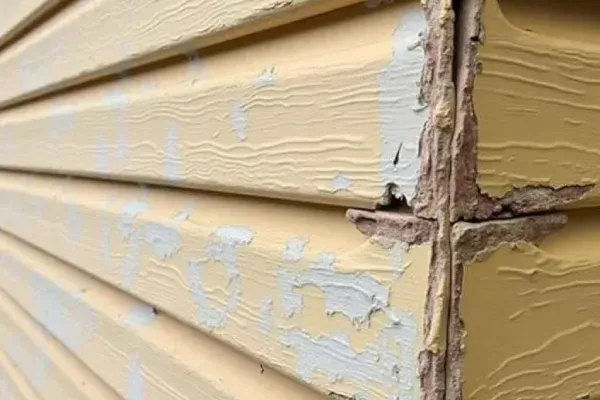 Exterior House Preparation