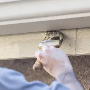 Gutter Cleaning and Painting