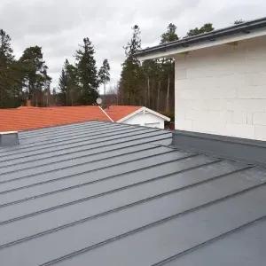 Roof Painting Colour Restoration