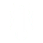 Heat Reflective Options: