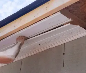 Professional Application Process