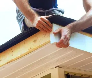 Professional Standards