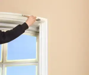 Climate-Specific Coating Systems