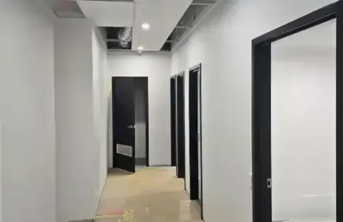 Interior House Painting