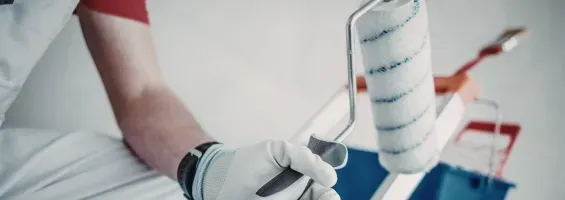 Colour Consultation & Project Planning