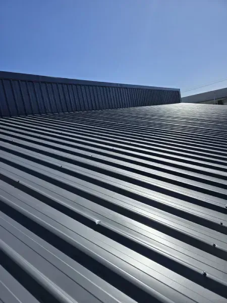 Roof Painting