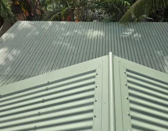 Roof painting in Fitzroy Crossing