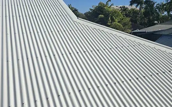 Roof Painting Fitzroy Crossing