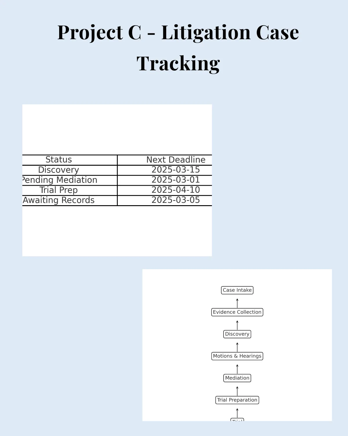 Project C - Litigation Case Tracking 