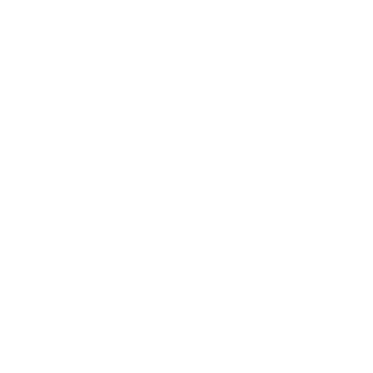 Palmzi Logo White