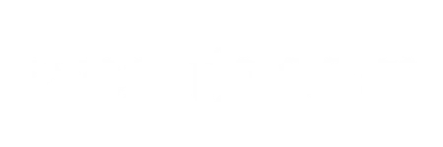 Wealth.com Logo White