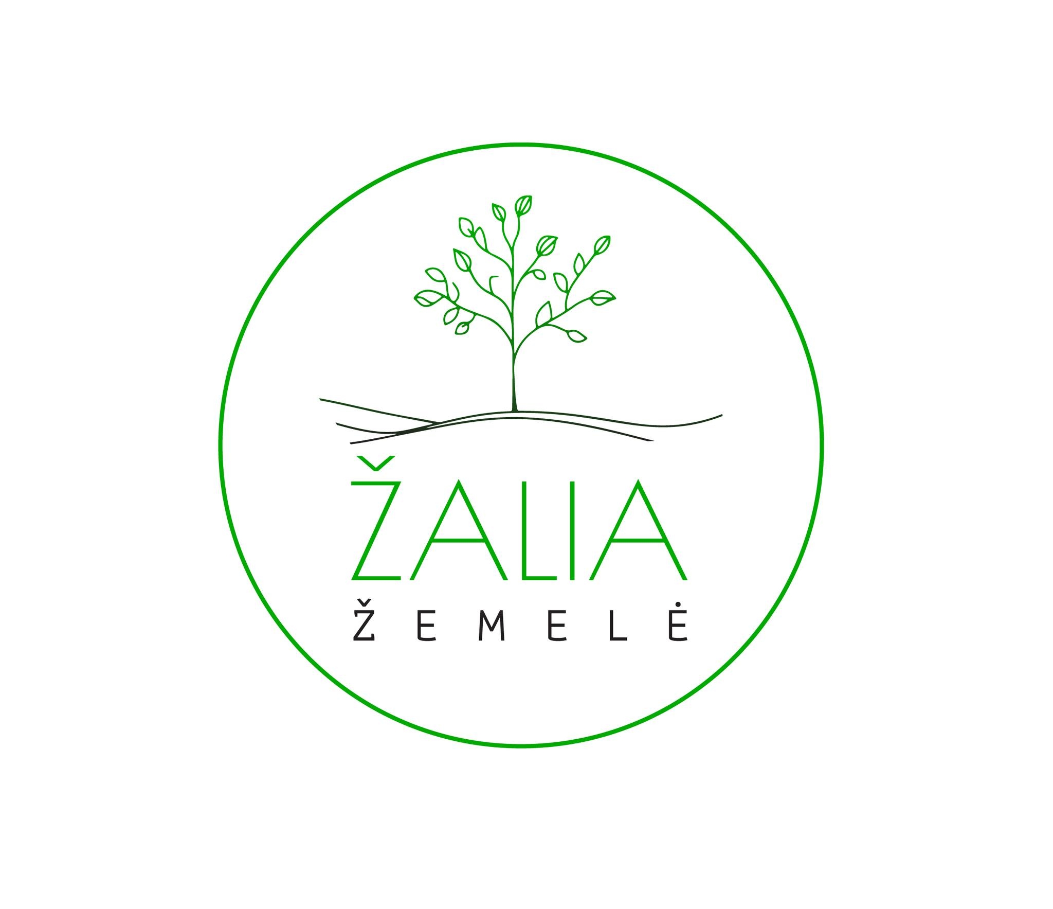 Apzedinimo projektai logo